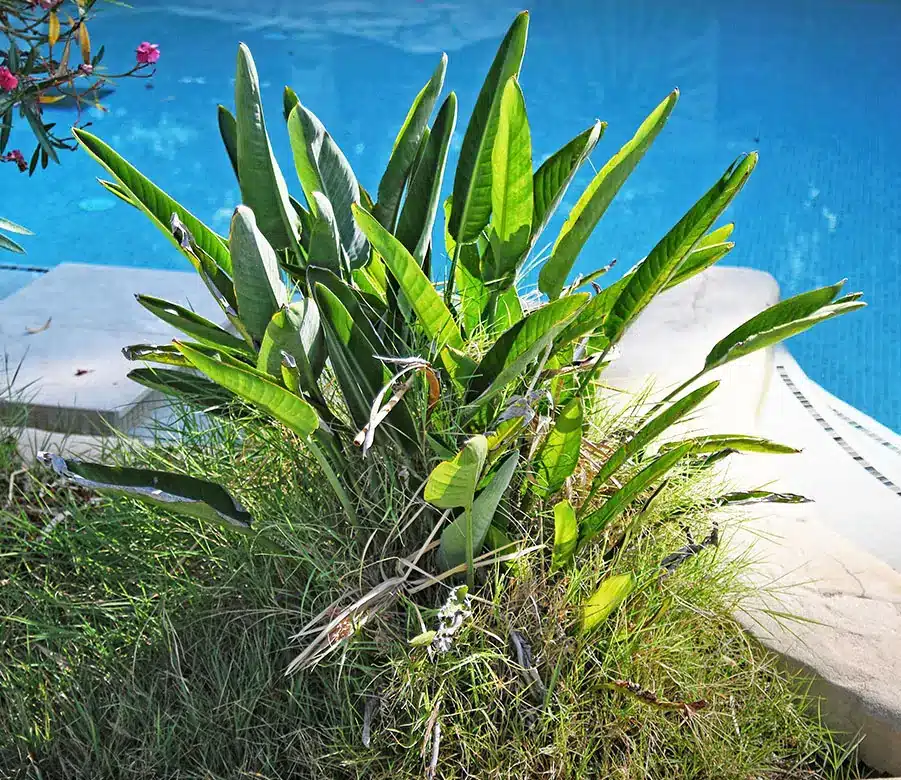 camping petit prix au muy